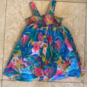 Cat and Jack 2T colorful dress